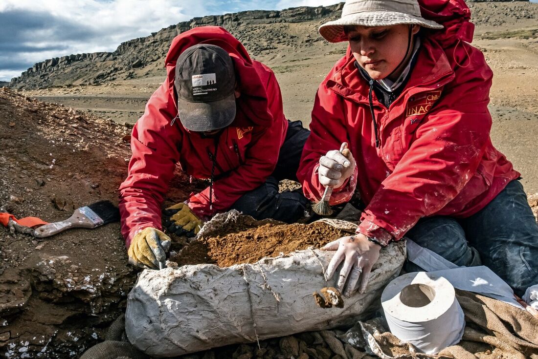 Foto divulgada em 16 de junho de 2023 pela Universidade Estadual do Chile mostrando cientistas do Instituto Antártico Chileno (INACH) procurando fósseis de dinossauros no Valle del Rio de las Chinas, Magalhães, Chile, em 22 de dezembro de 2017