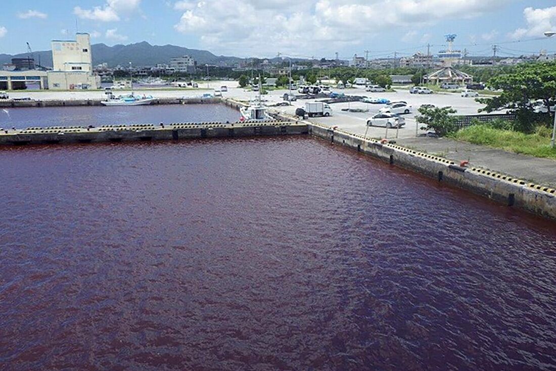 Rio tingido de vermelho após o refrigerante usado em equipamentos para ajudar na fabricação de cerveja vazar na água de uma cervejaria próxima