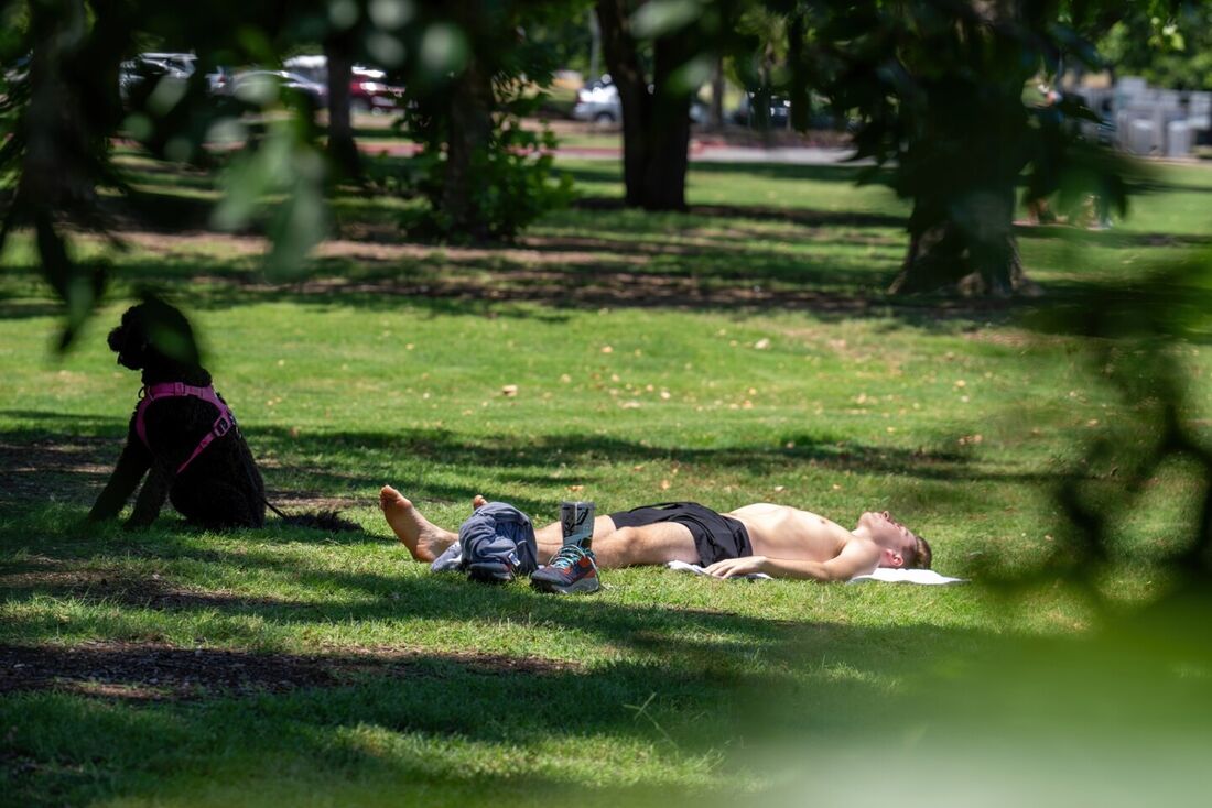 Alertas de calor excessivo estavam em vigor desde o Arizona, no sudoeste, até o Alabama, no sudeste, com o sul e o centro do Texas e o Vale do Baixo Mississippi os mais atingidos, disse o Serviço Nacional de Meteorologia.