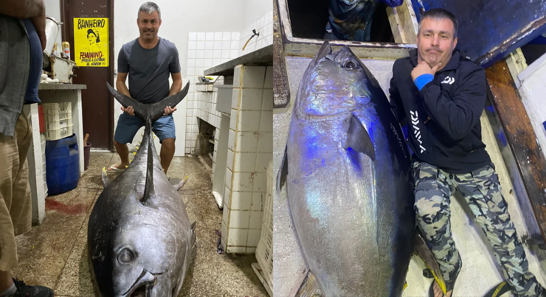 O comerciante ao lado do peixe gigante de mais de 160 quilos