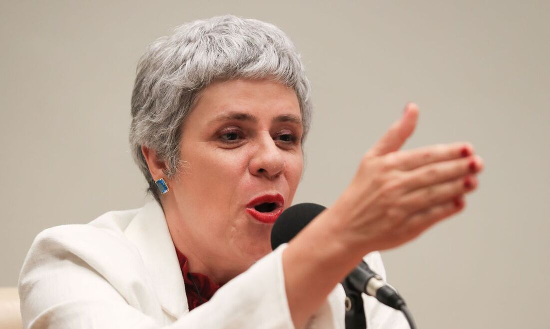 O processo foi relatado pela conselheira Roberta Camineiro Baggio, e Beltrami foi declarado anistiado político