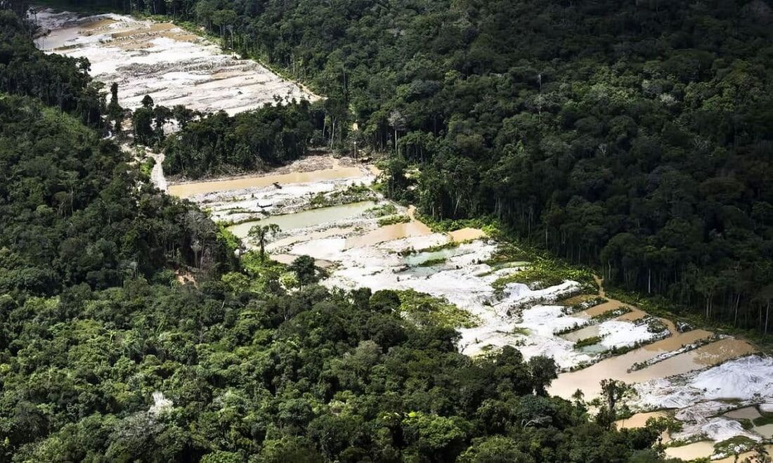 Amazônia