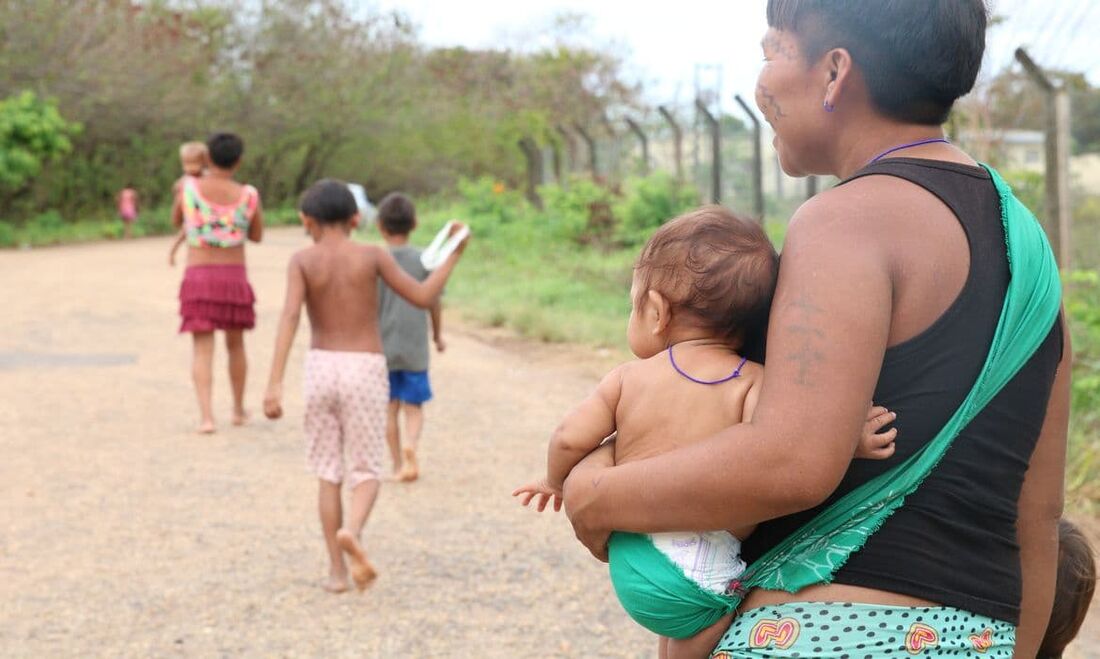 A ação foi motivada por denúncias de crimes ambientais e invasões das terras indígenas