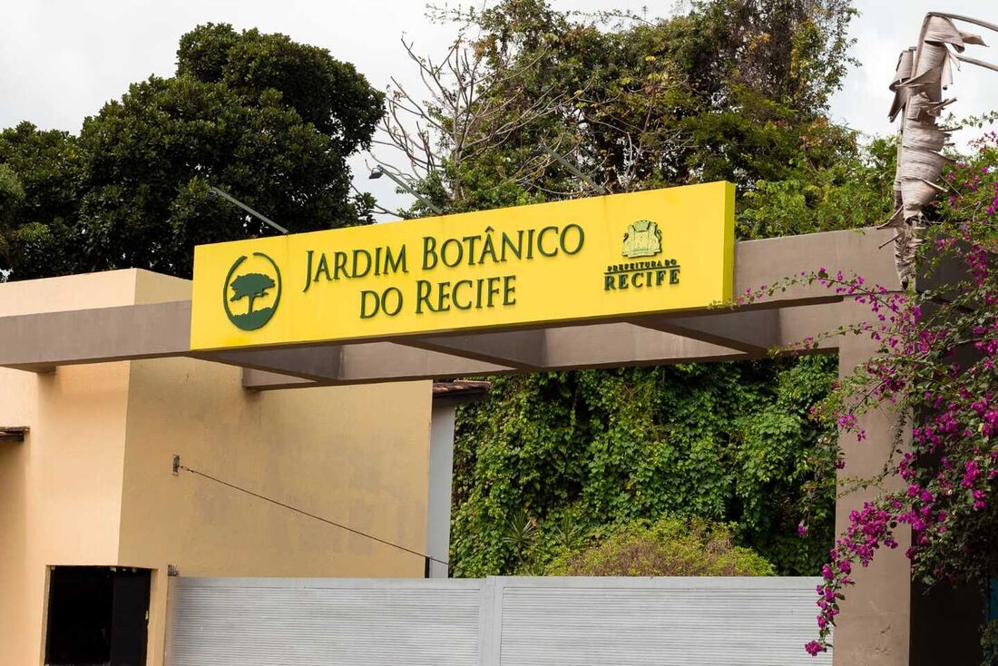 Jardim Botânico do Recife