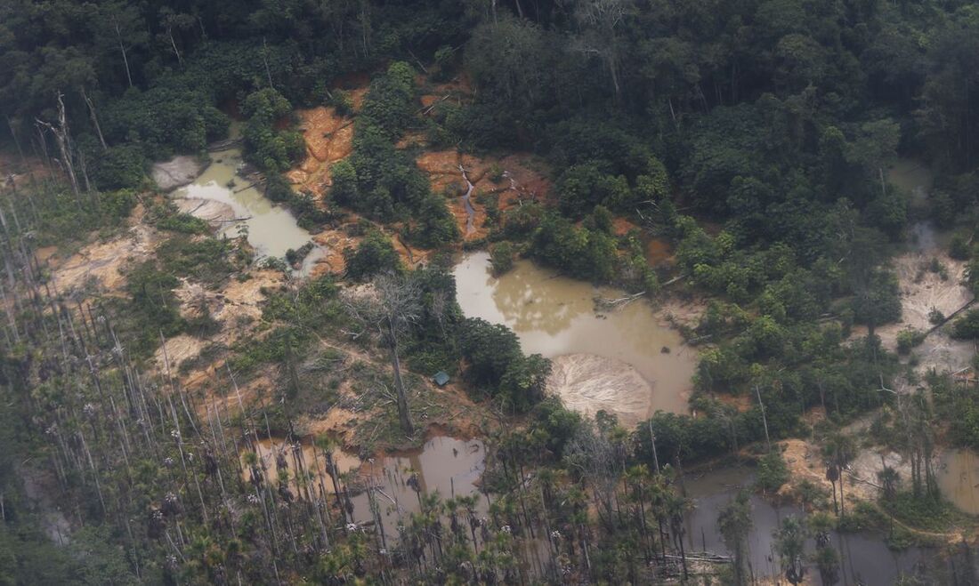 Terra Indígena Yanomami