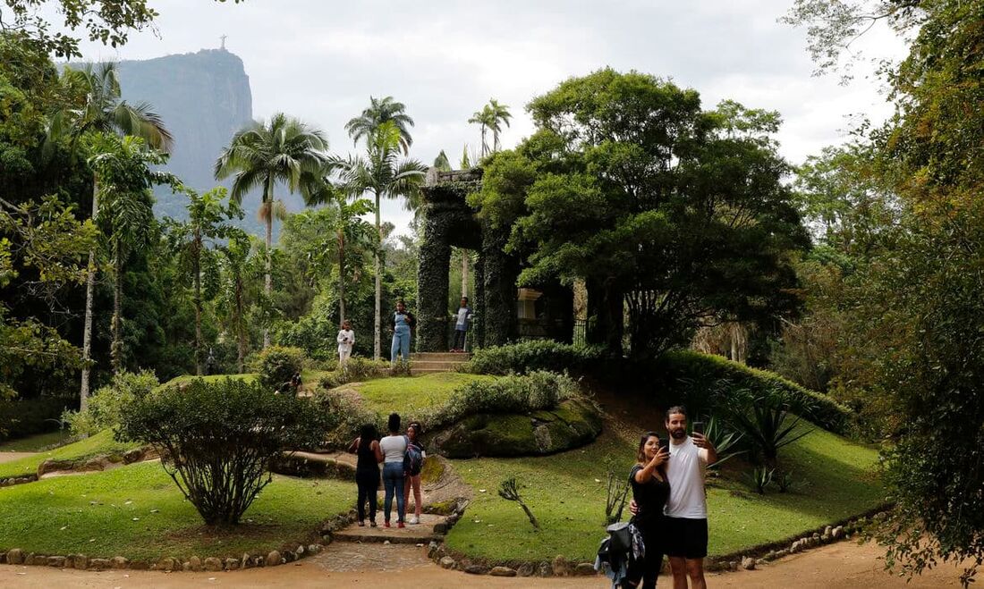 O painel é do Instituto de Pesquisas Jardim Botânico do Rio de Janeiro