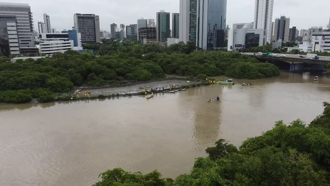 Viveiro de camarões clandestino no Recife