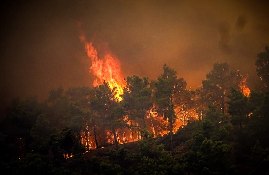 Incêndios causados pela onda de calor 