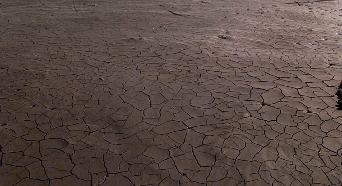 Desastre ambiental aconteceu em 1998