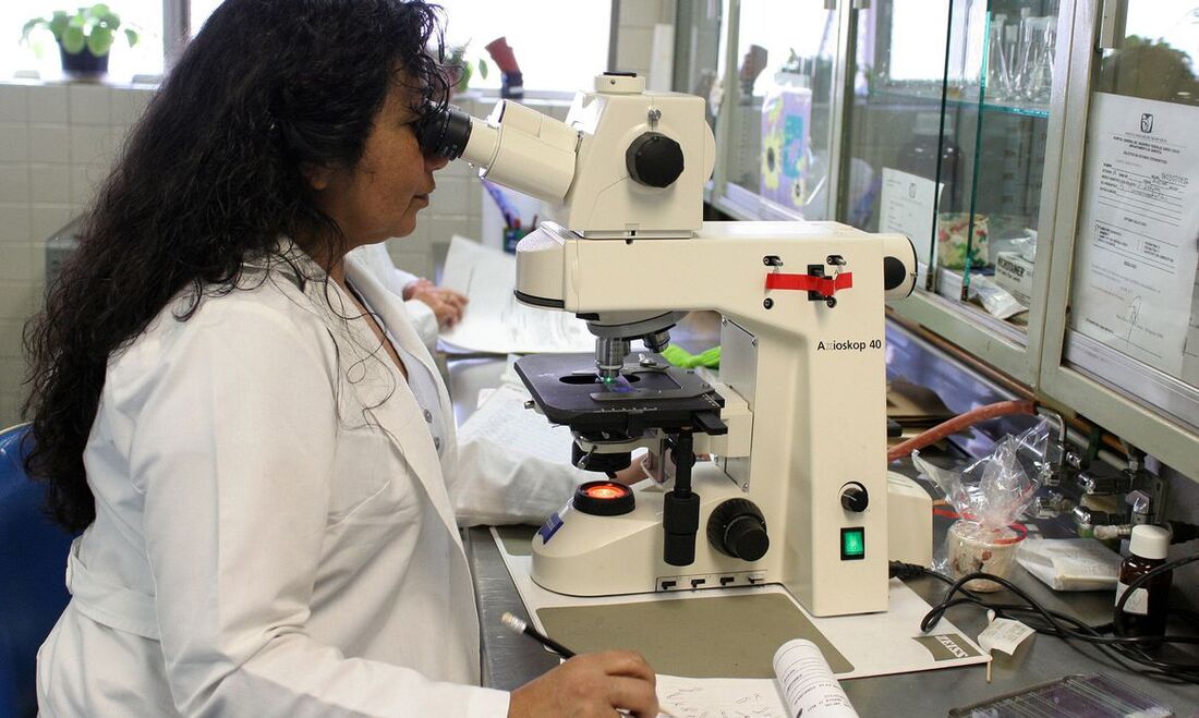 Mulheres cientistas