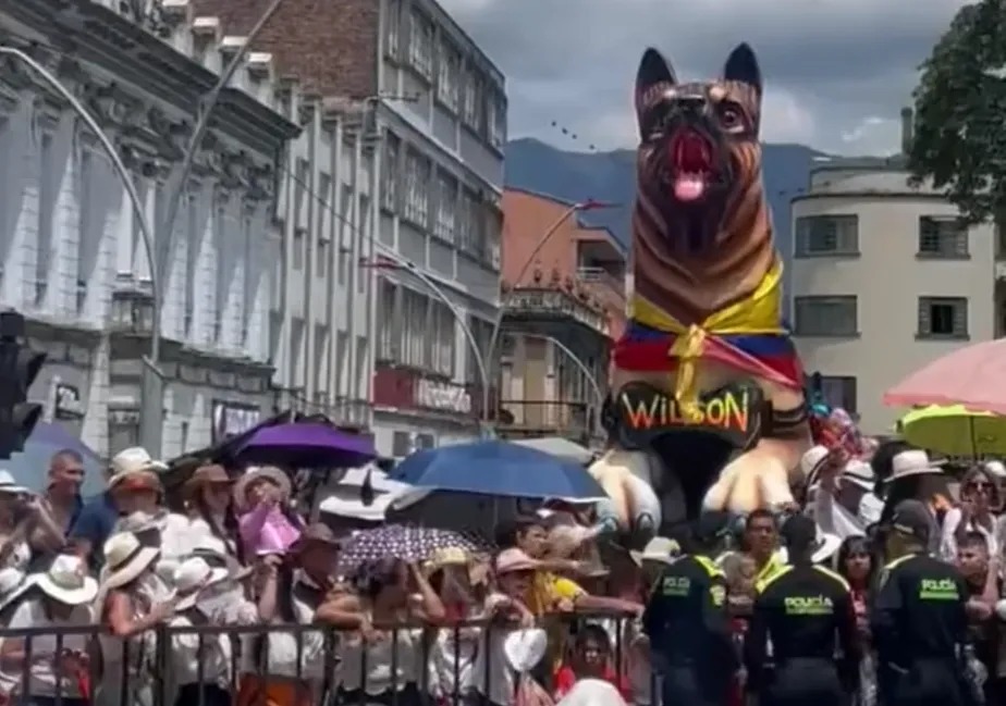 Colômbia faz desfile em homenagem a cão Wilson, perdido após resgate de crianças na selva 