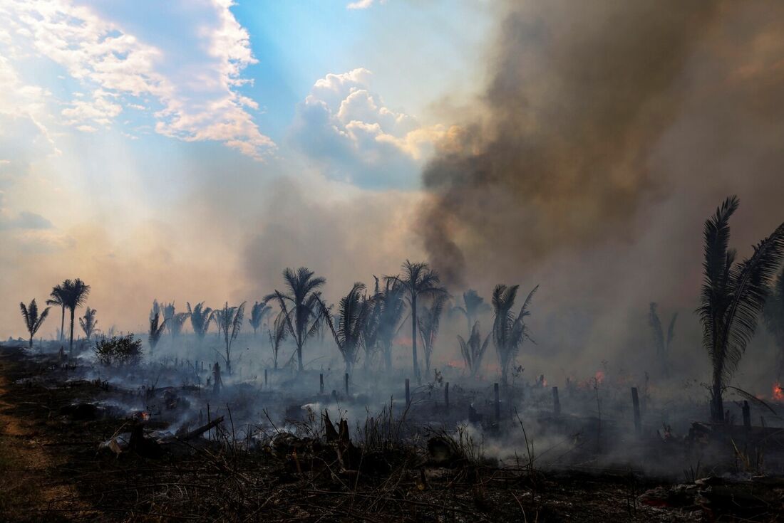 Desmatamento na Amazônia