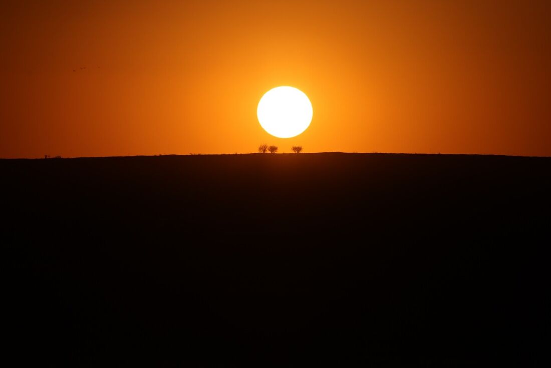 O sol se põe na grama queimada pelo fogo na Califórnia