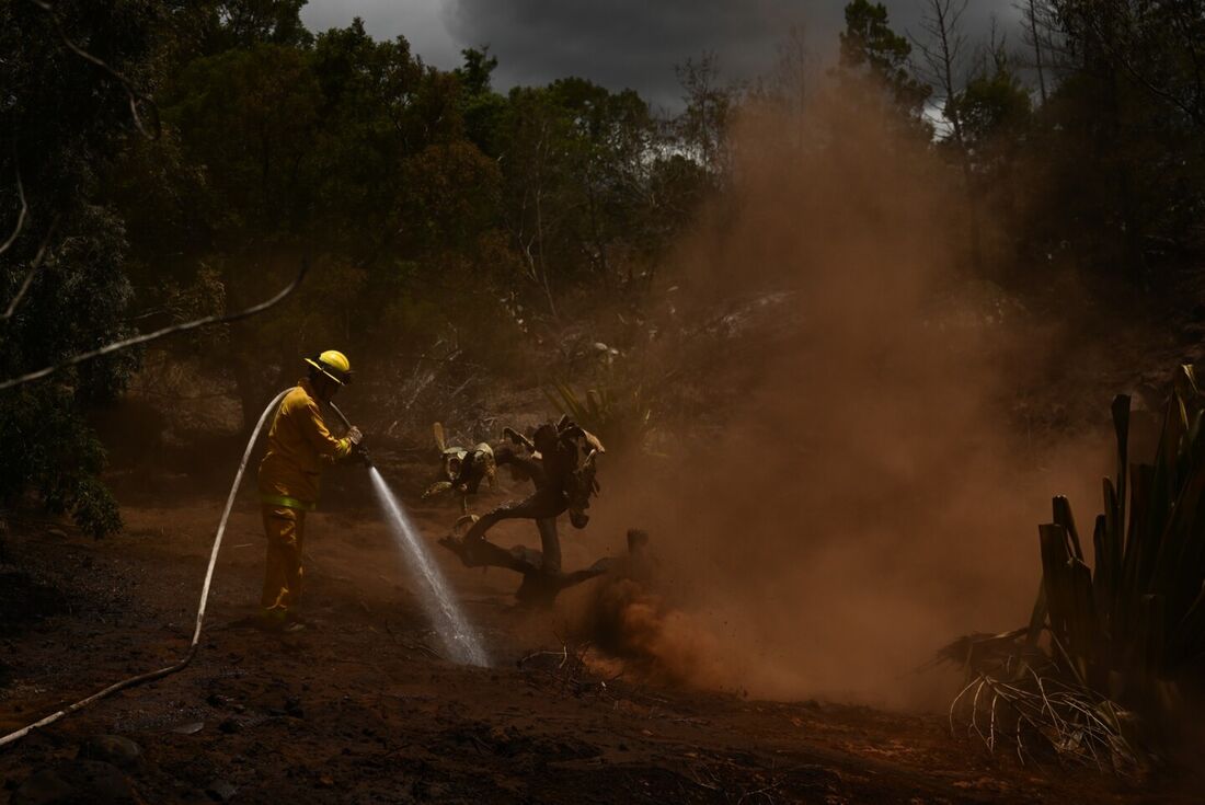 A magnitude do trágico incêndio florestal que devastou uma ilha havaiana no ano passado, deixando mais de 100 mortos