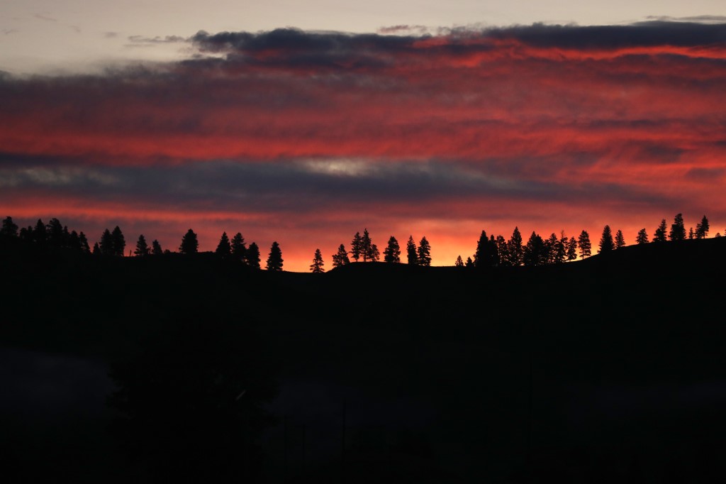 Floresta em Missoula, Montana