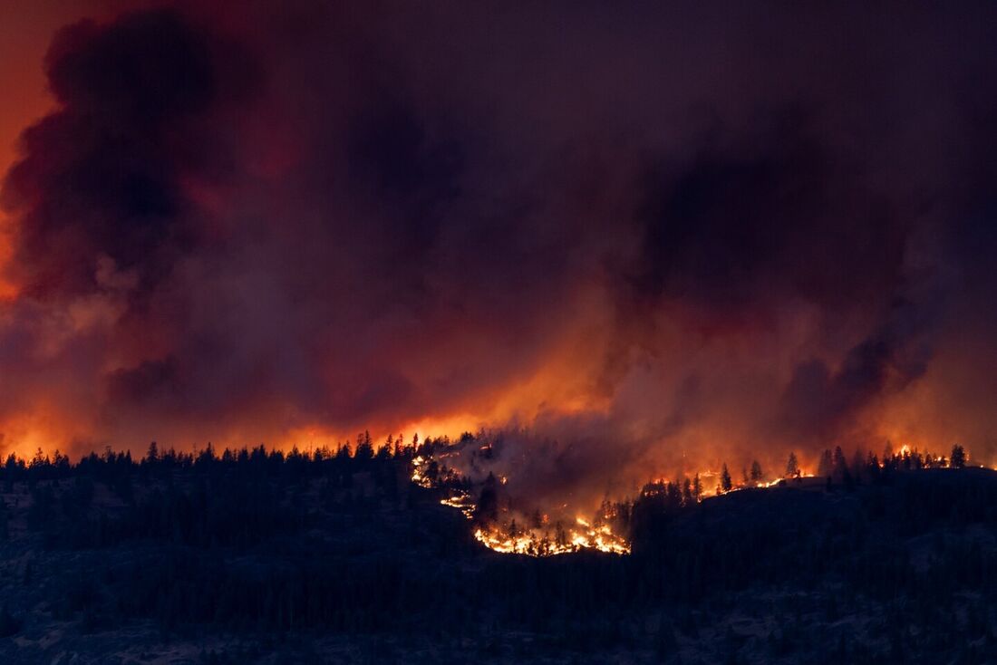 Incêndios florestais