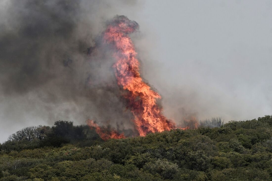 Incêndio florestal na Grécia