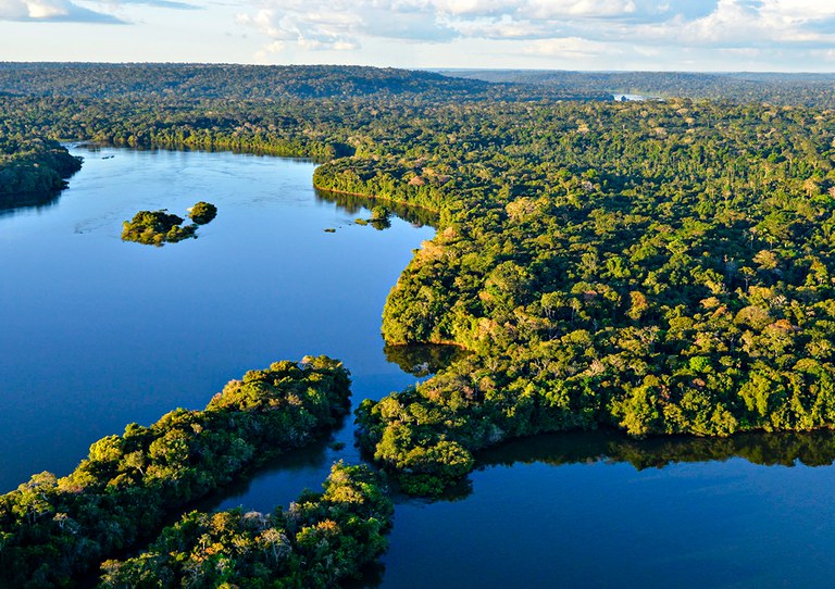 Floresta Amazônica