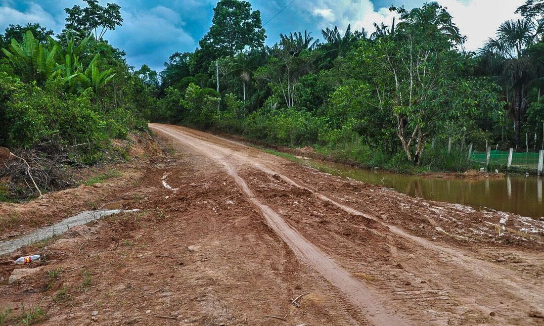 Desmatamento às margens de rodovia amazônica