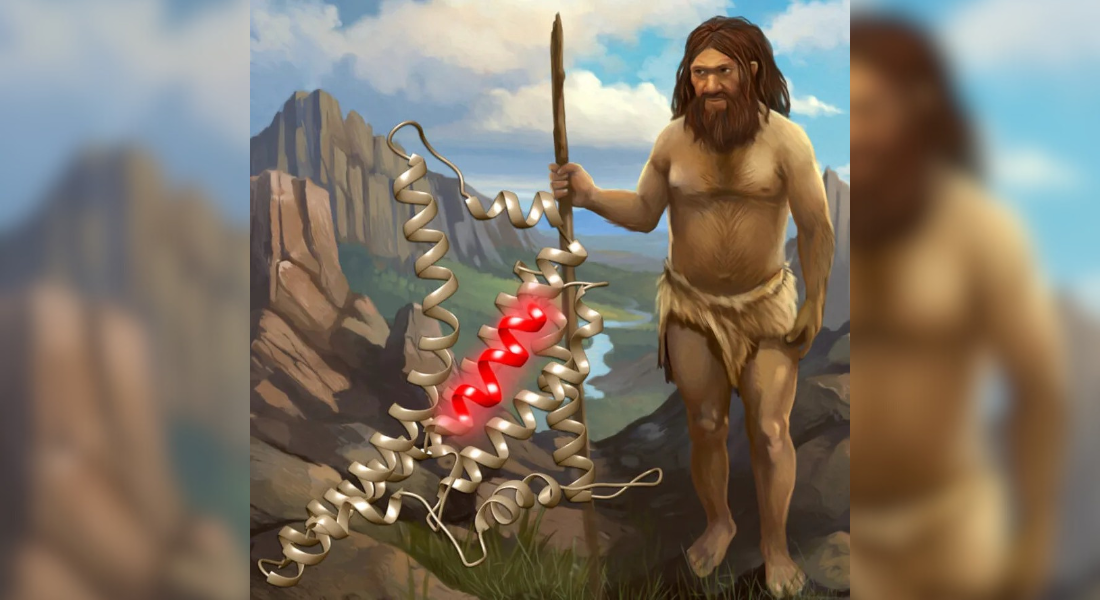 Grupo de pesquisa busca antibiótico ressuscitando moléculas neandertais