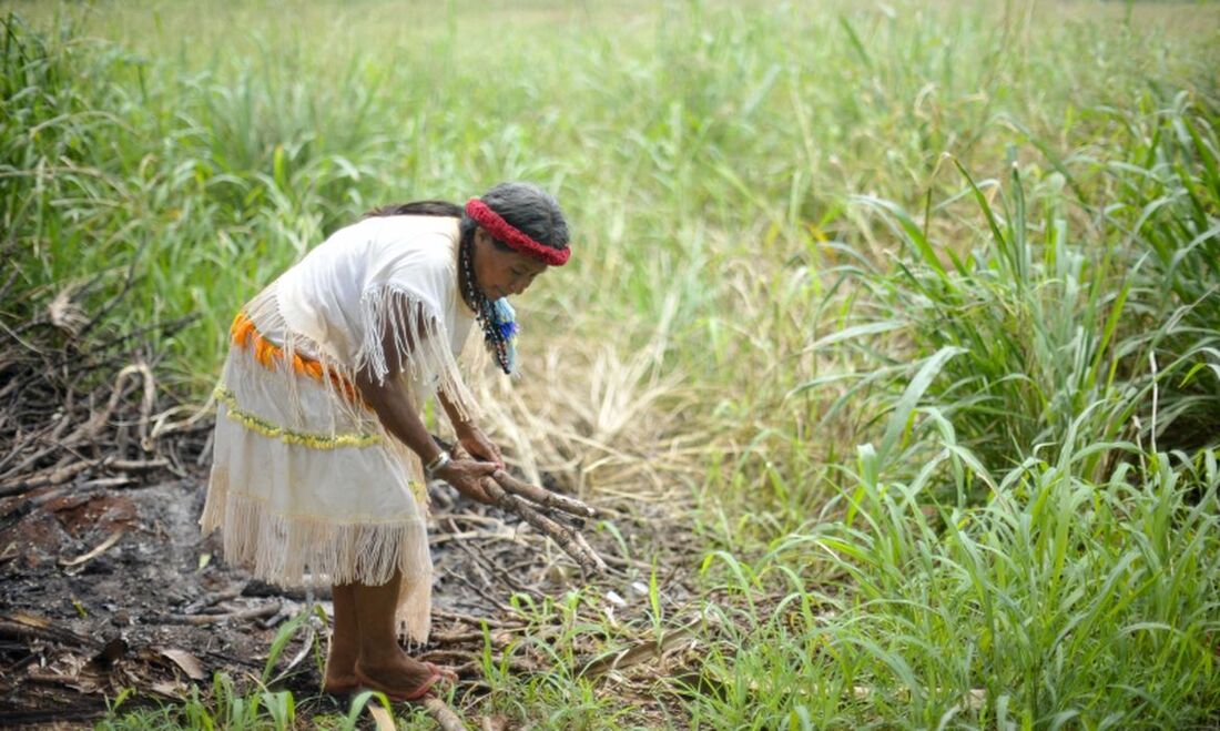 Agricultores