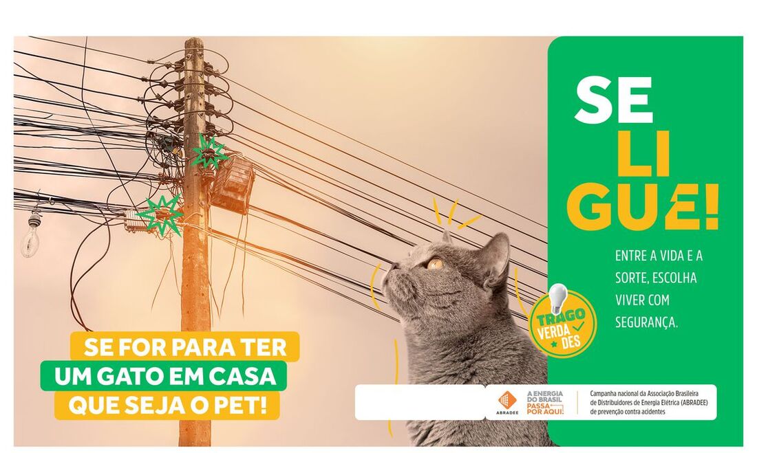 Card de conscientização sobre acidentes envolvendo rede elétrica