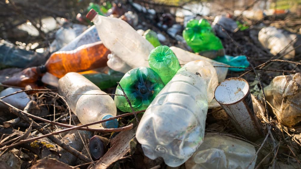 Reciclagem é uma prática mundialmente atrelada à sustentabilidade