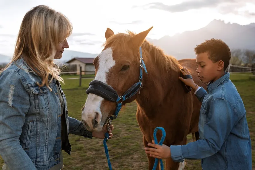 No coaching com cavalos o animal se torna um espelho emocional da pessoa, permitindo um trabalho emoções, habilidades e fraquezas 