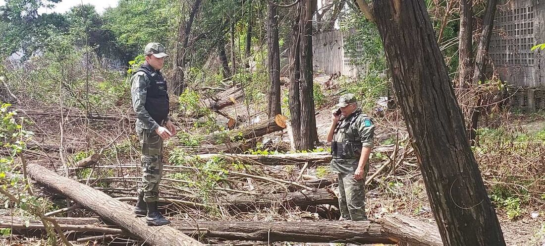 Polícia Militar apoiou ação da Secon