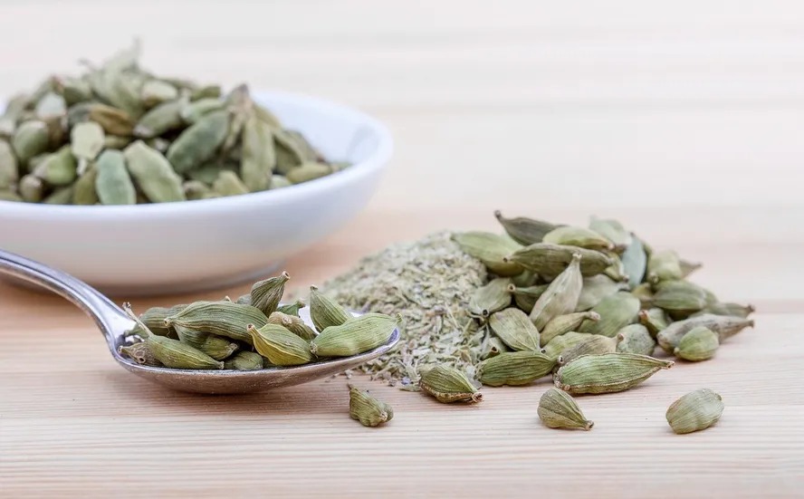 Cardamomo tem potencial para queimar gordura e reduzir inflamação, aponta estudo