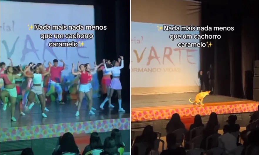 O perfil oficial da companhia de dança republicou o conteúdo que viralizou no TikTok