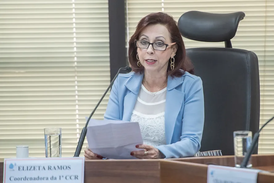 A subprocuradora Elizeta Ramos, durante audiência pública 