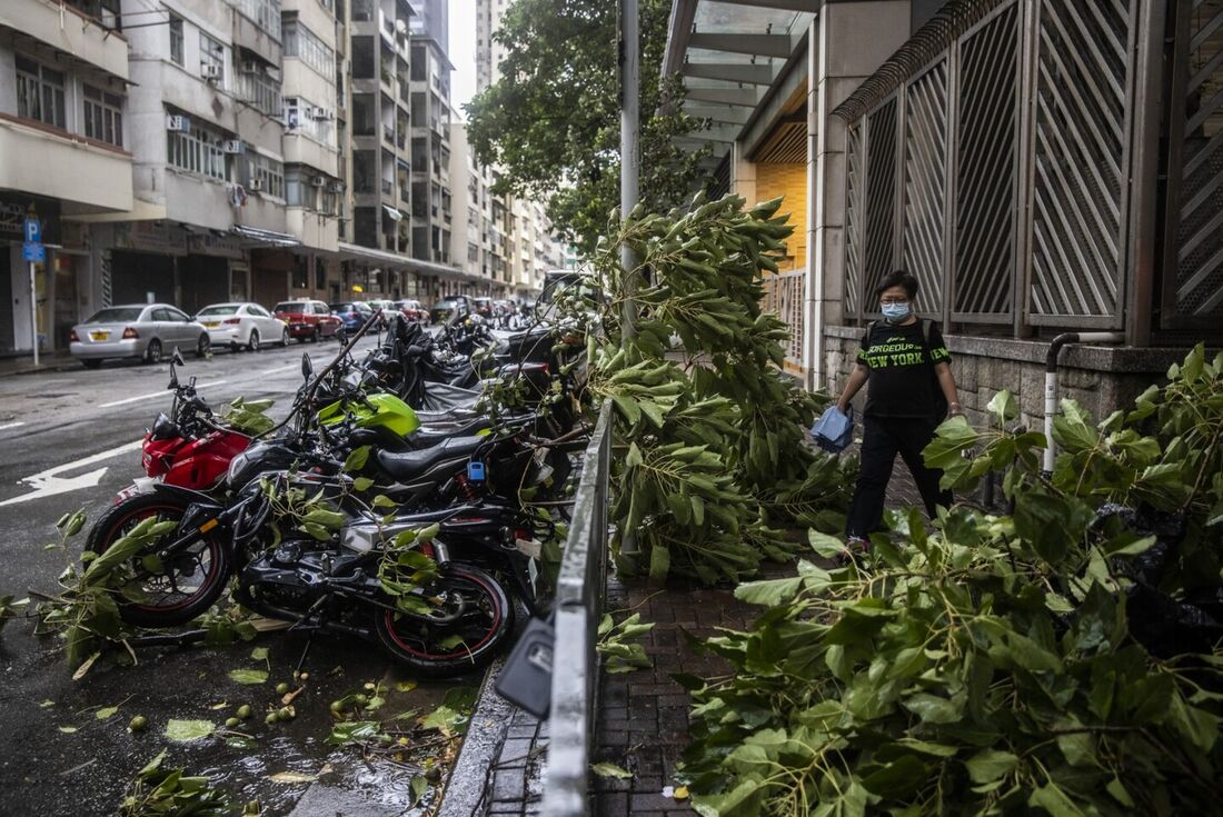 Árvores caídas devido aos fortes ventos do Supertufão Saola em Hong Kong 