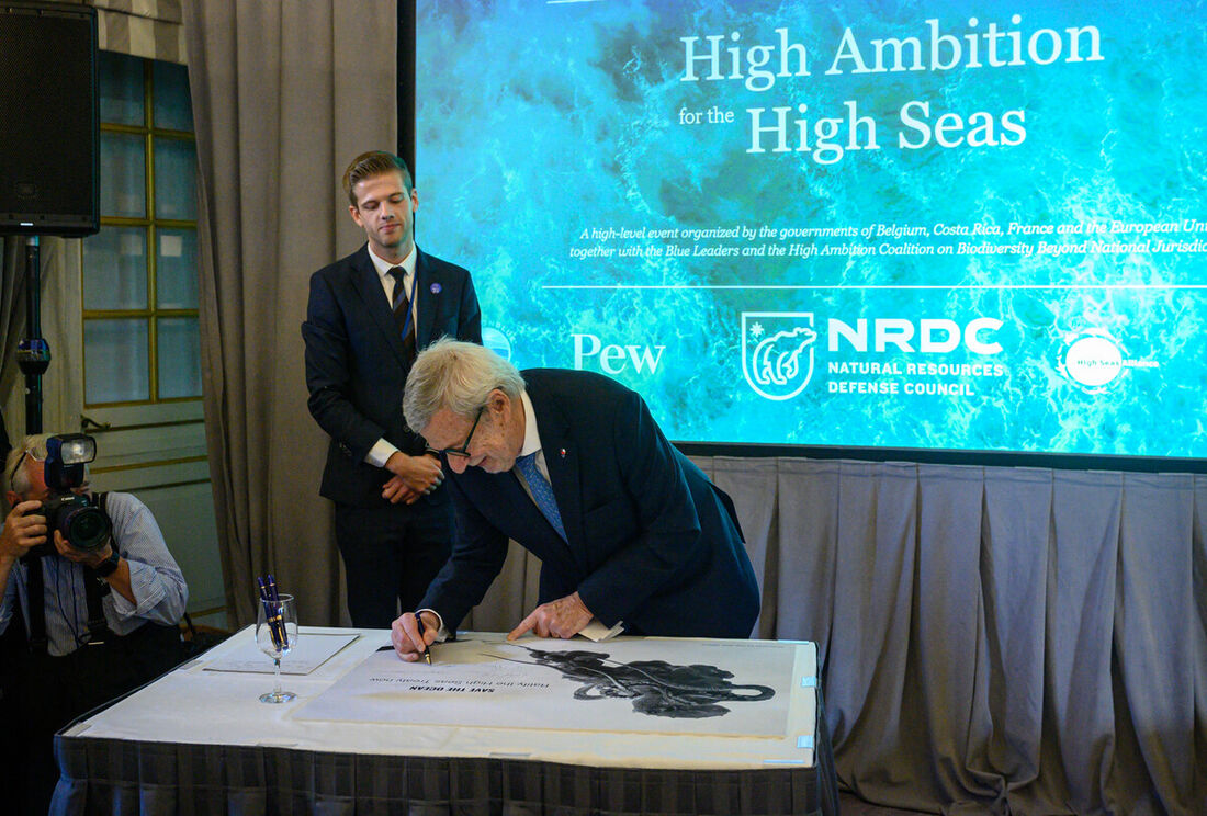 Com a presença de delegações de todo o mundo em Nova York para participar da Assembleia Geral da ONU