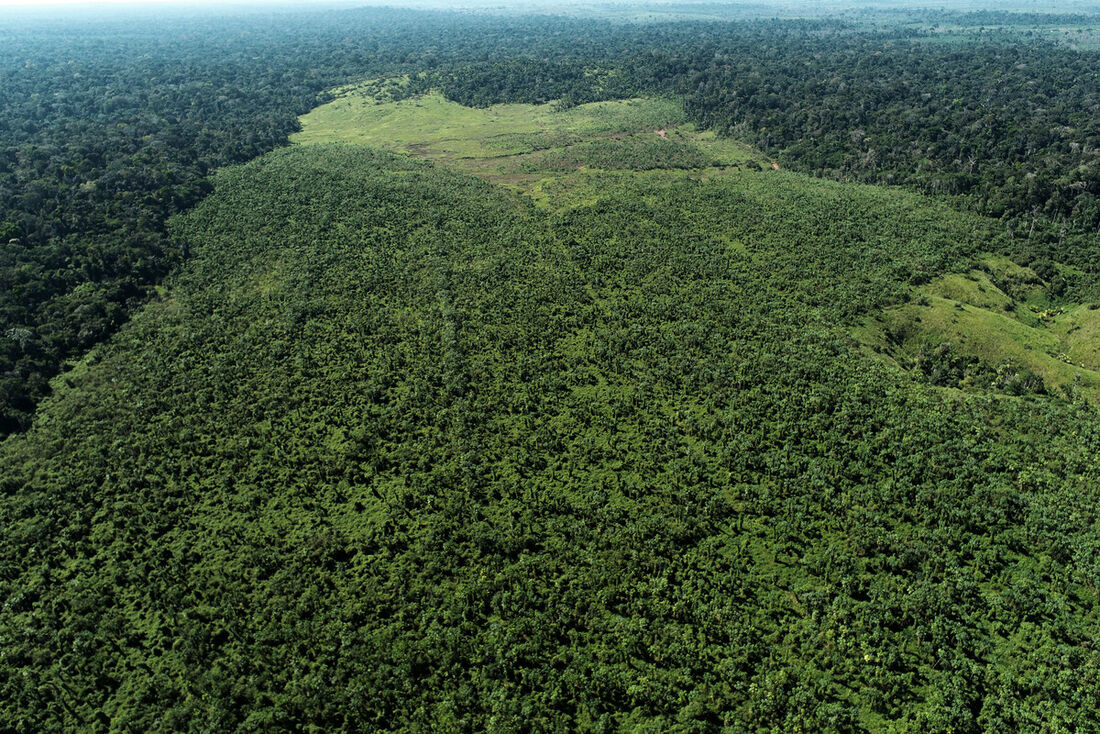 Área queimada na Floresta Amazônica