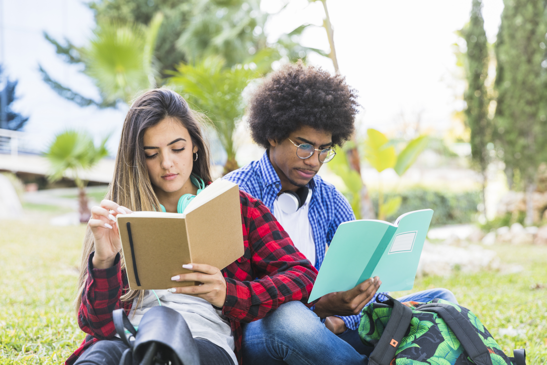 Dia da Democracia é comemorado em 15 de setembro
