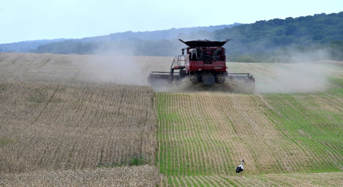 As exportações brasileiras de produtos do agronegócio geraram no ano passado US$ 164,37 bilhões.