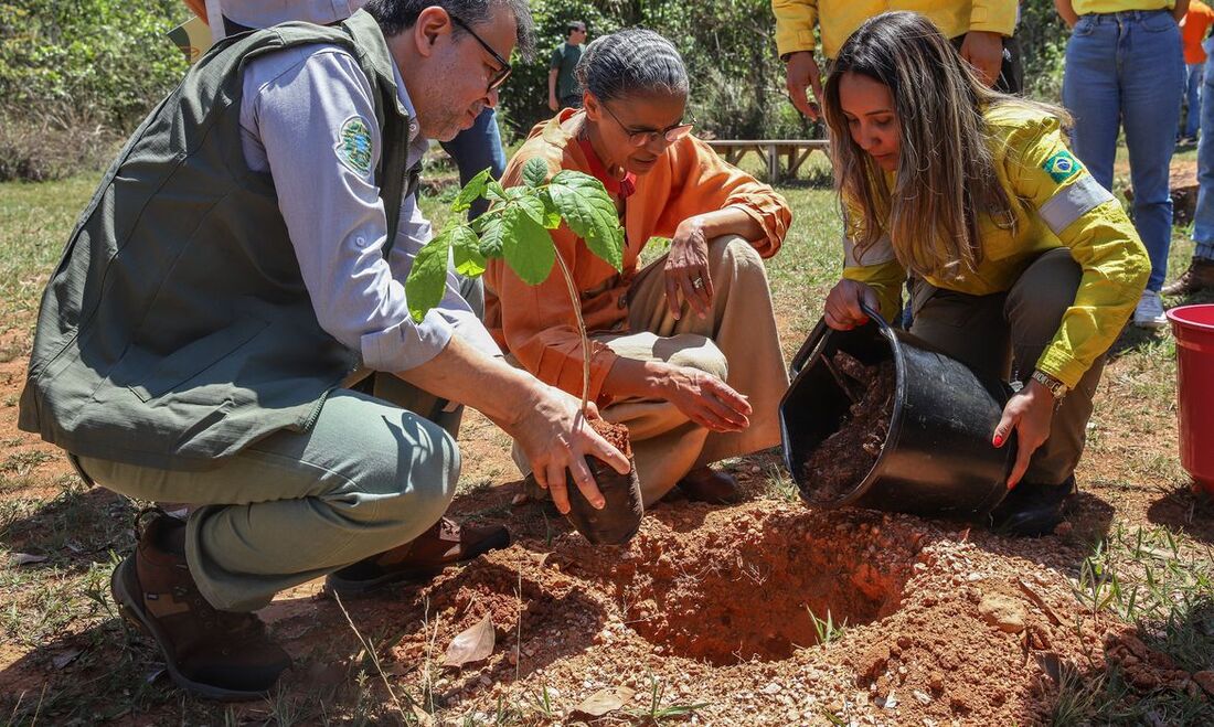 Meio Ambiente e Mudança do Clima (MMA), Marina Silva