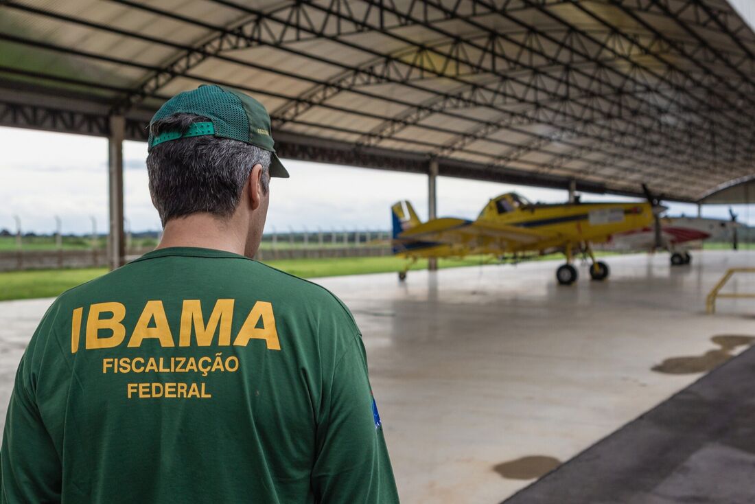 Servidores do Ibama estão em greve