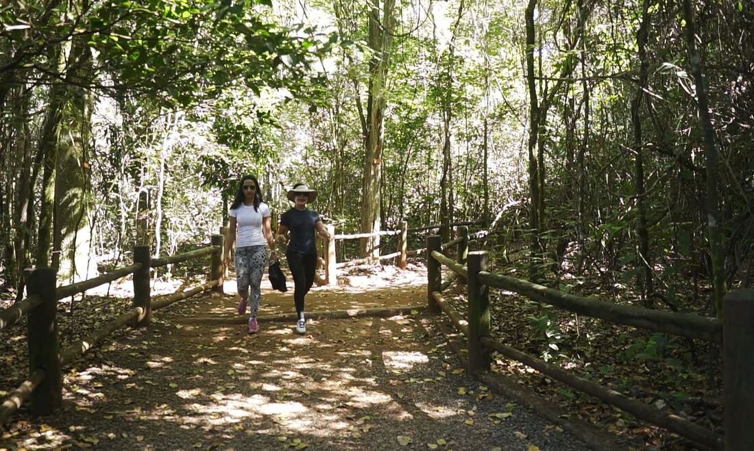 Trilha no Parque Nacional de Brasília