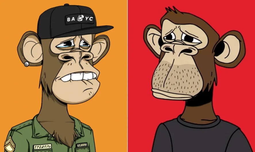 Bored Ape Yacht Club: coleção de arte em NFT com desenhos de macaco fez sucesso, mas já não vale tanto