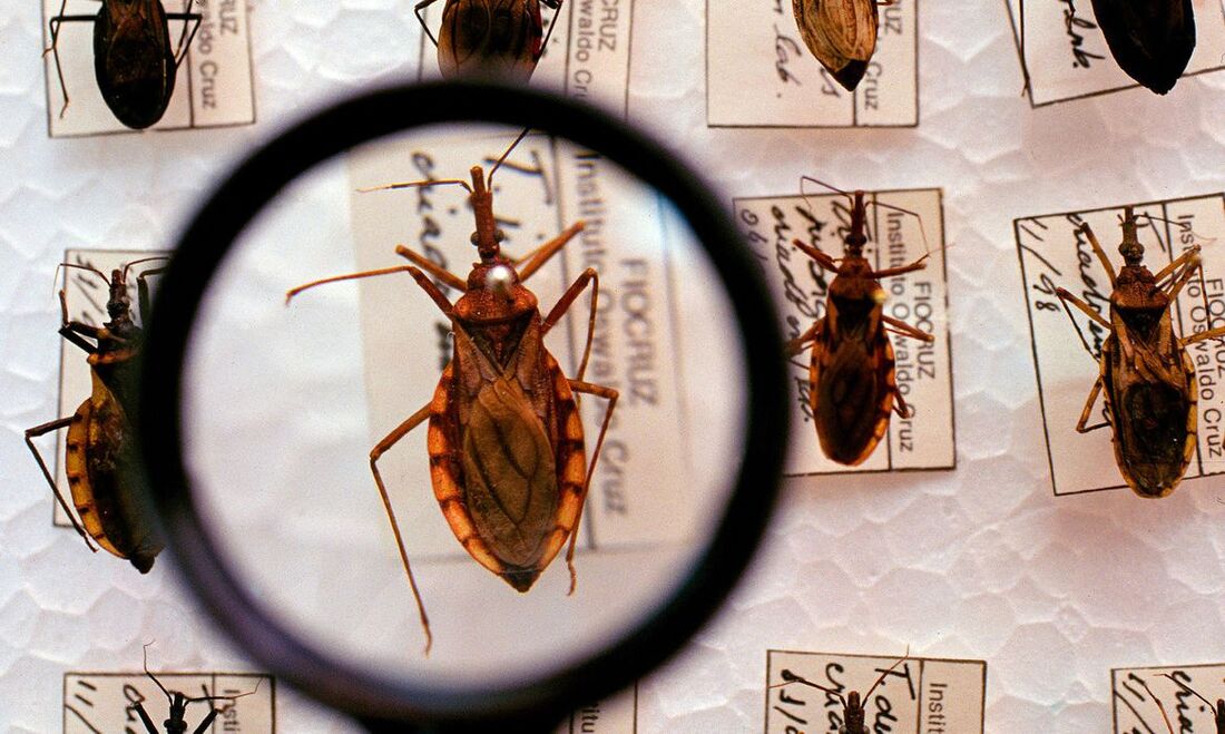 Doença de Chagas