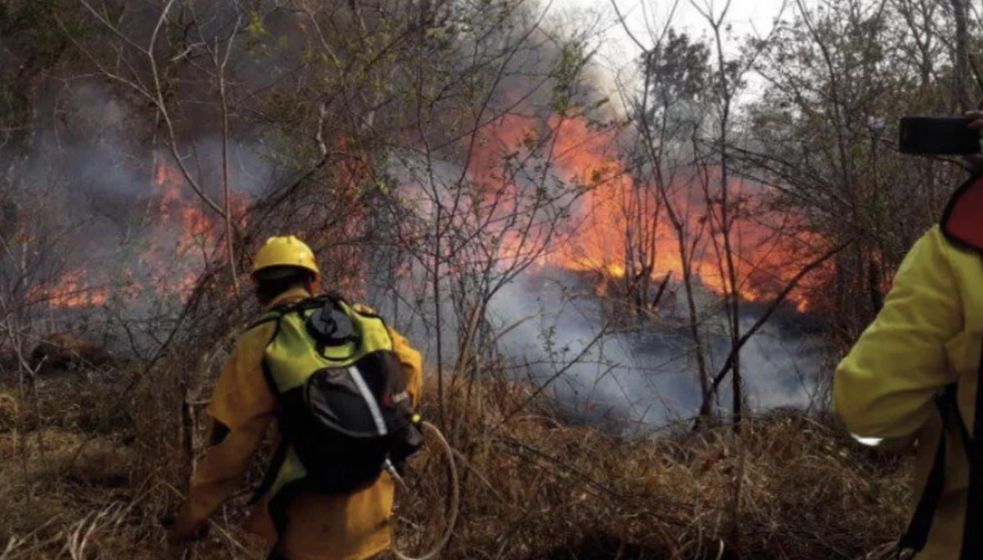 Bolívia vive emergência causada por seca e queimadas