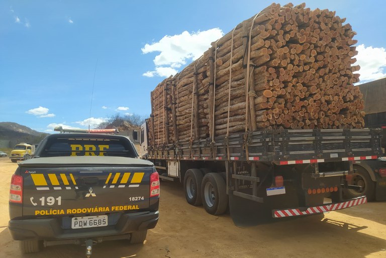 PRF apreende 67 m&#xB3; de madeira irregular em Salgueiro, no Sertão de Pernambuco 