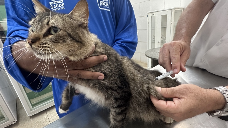 Vacinação antirrábica