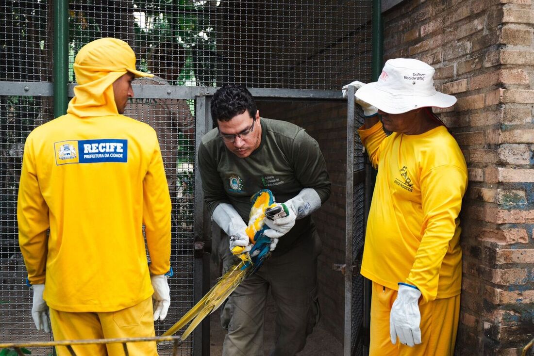 Animais foram encaminhados para o Cetras Tangará