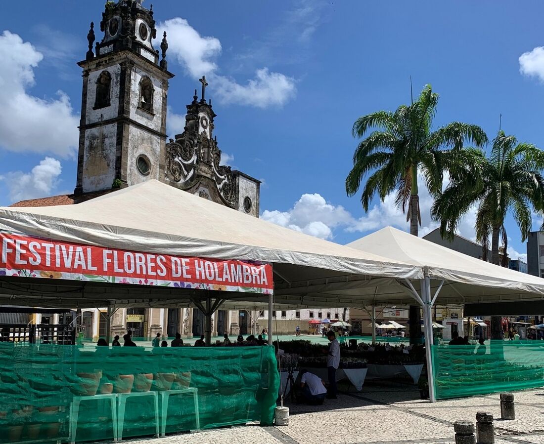 Estarão à venda plantas carnívoras, cactos, orquídeas, suculentas e rosas do deserto