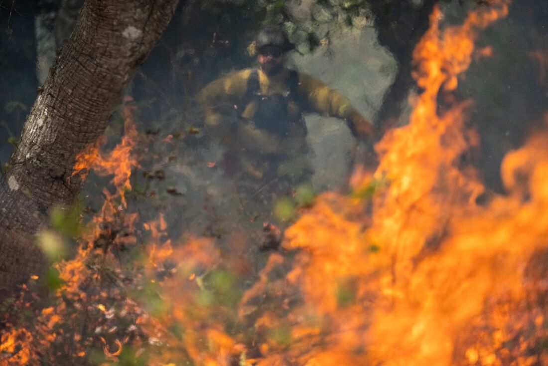 Cientista ambiental monitora uma queima prescrita no Parque Estadual Wilder Ranch, na Califórnia