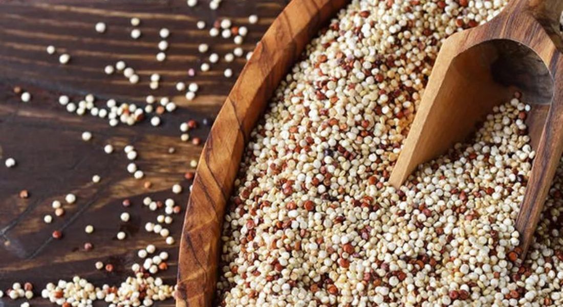 A quinoa é uma semente ancestral rica em proteínas, mineirais e carboidratos