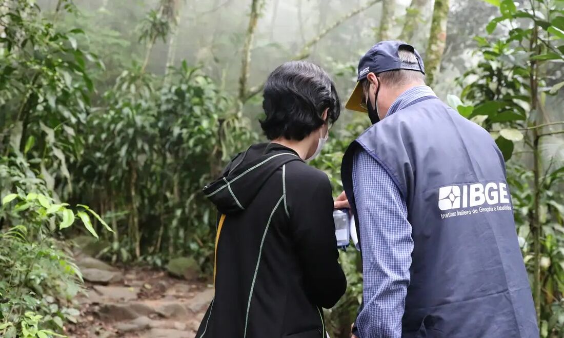 Dados sobre a biodiversidade brasileira são analisados pelo IBGE